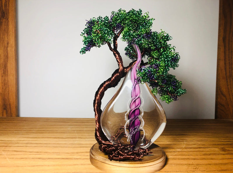 Memorial flame tree green purple